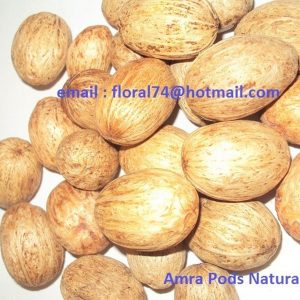 AMRA PODS NATURAL