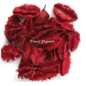 ARJUN MINI COLOUR