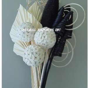 ARRANGEMENT NO. 210