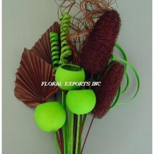 ARRANGEMENT NO. 220
