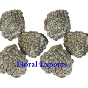 ATA FRUIT NATURAL (POTPOURRI)