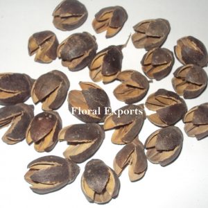 BAKULI PODS NATURAL