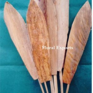 BANANA COVER ON STICK