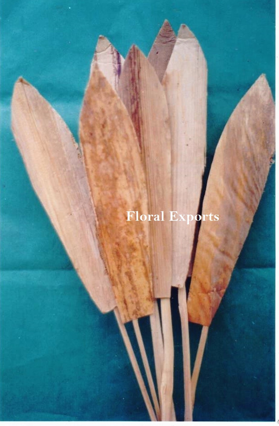 BANANA COVER ON STICK