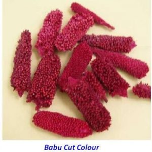 BAZRA CUT COLOUR