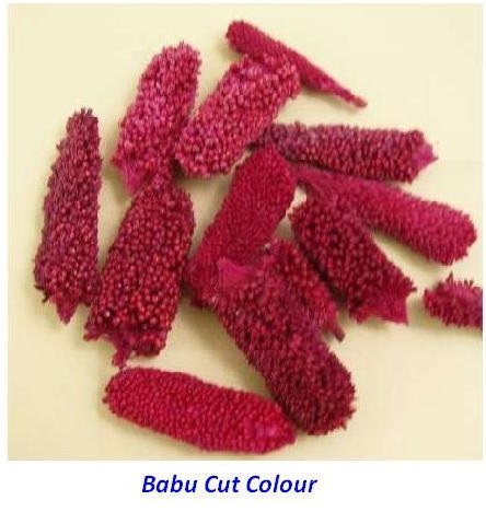 BAZRA CUT COLOUR