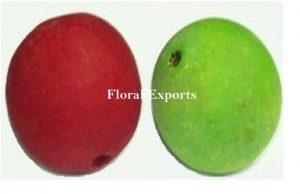 BELLANI PODS COLOUR