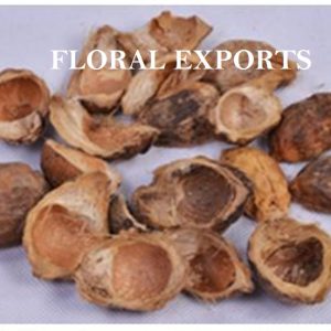 BETAL NUT COVER HALF NATURAL