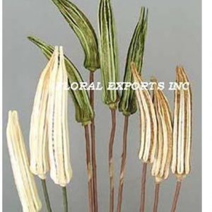 BHENDI ON STICK