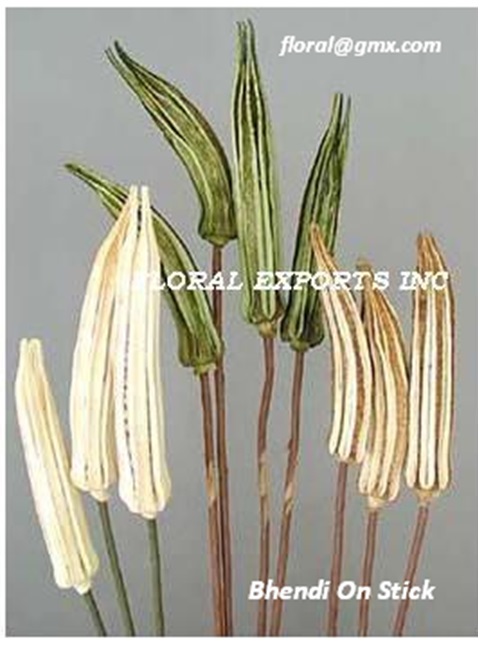 BHENDI ON STICK
