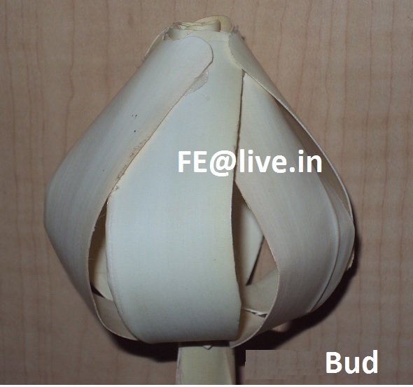 BUD