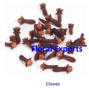 CLOVES
