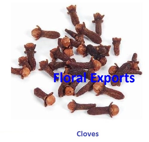 CLOVES