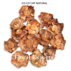 CO-CO CAP NATURAL