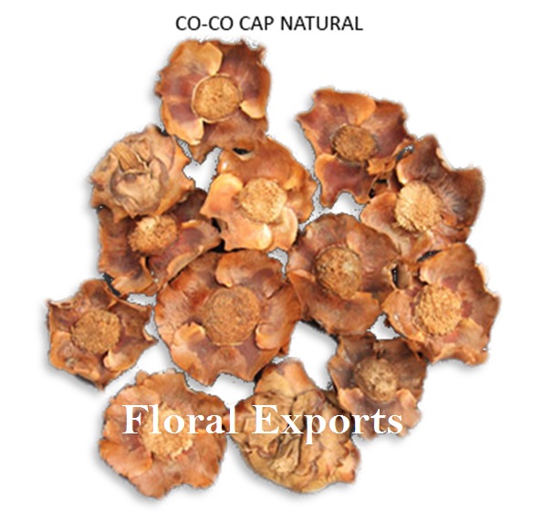 CO-CO CAP NATURAL