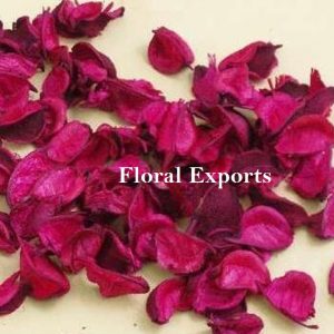 COTTON PETALS COLOUR