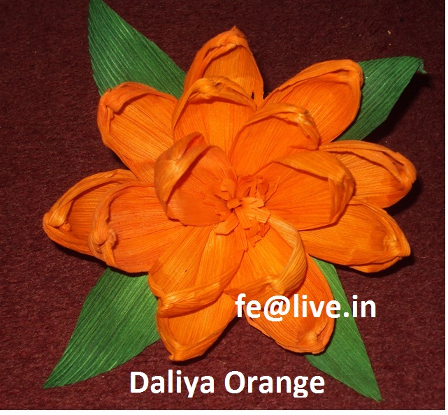 DALIYA COLOUR