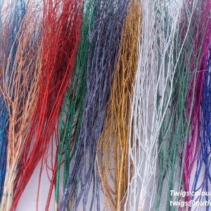 TWIGS COLOUR & GLITTER