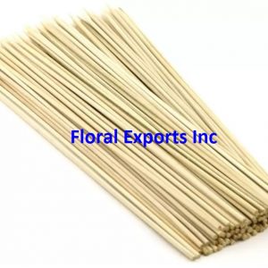 Decorative Dried Sticks 3