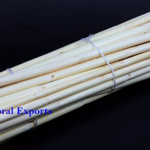 Decorative Dried Sticks