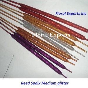 REED SPADIX MEDIUM GLITTER