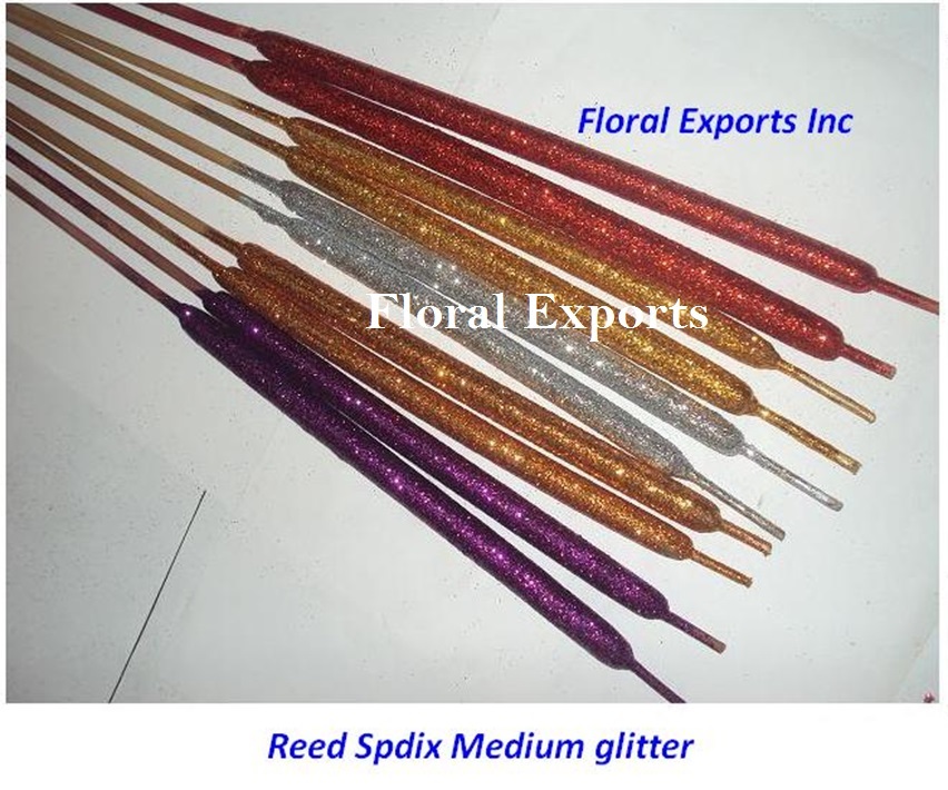 REED SPADIX MEDIUM GLITTER