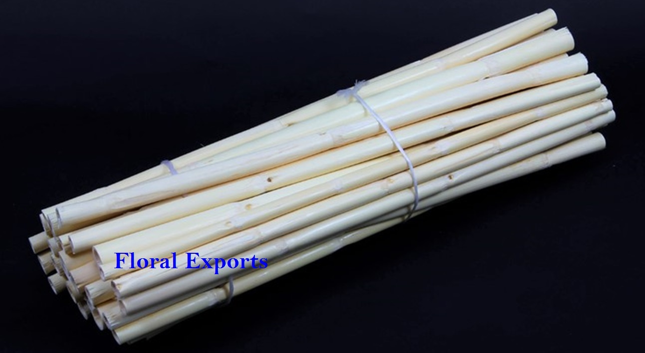 Decorative Dried Sticks