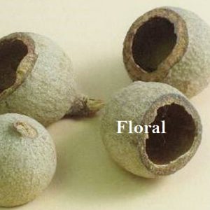 GOURI CUP NATURAL