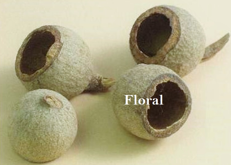 GOURI CUP NATURAL