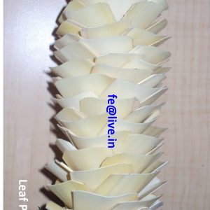 LEAF PINE