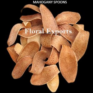 MAHOGANY SPOONS
