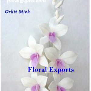 ORKIT STICK
