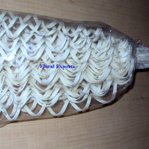 PALM CURLY STICK BLEACH 5