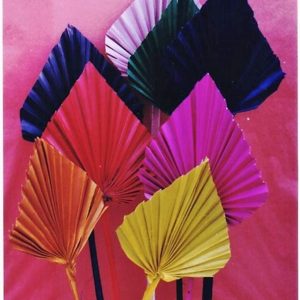 PALM SPEAR COLOUR