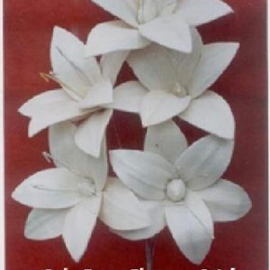 SOLA BANA FLOWERS STICK
