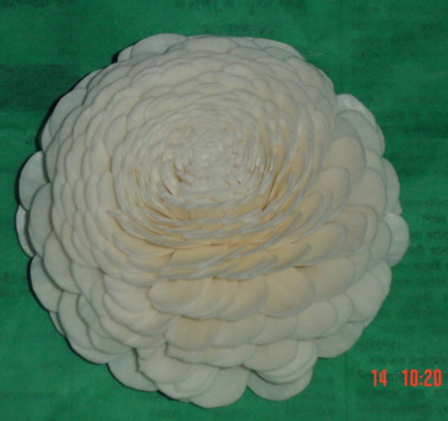 SOLA BELLY 10 CM. - Image 3