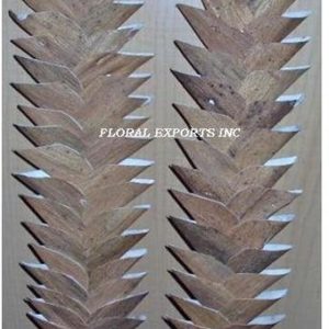 SOLA DEVDARU LEAF BROWN