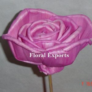 SOLA FREE LAND ROSE COLOUR