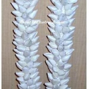 SOLA KURI STICK