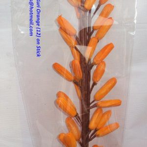 SOLA LEBU KURI ORANGE (12) ON STICK