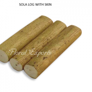 SOLA LOG WITH SKIN