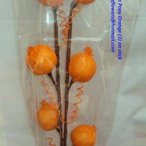 SOLA POPY ORANGE (3) ON STICK IN POLY
