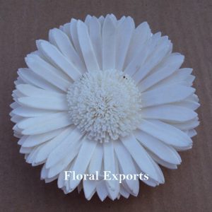SOLA SUN FLOWER 6 CM. f
