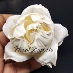Sola Wood Flowers