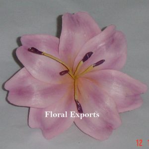 sola lily flowerr