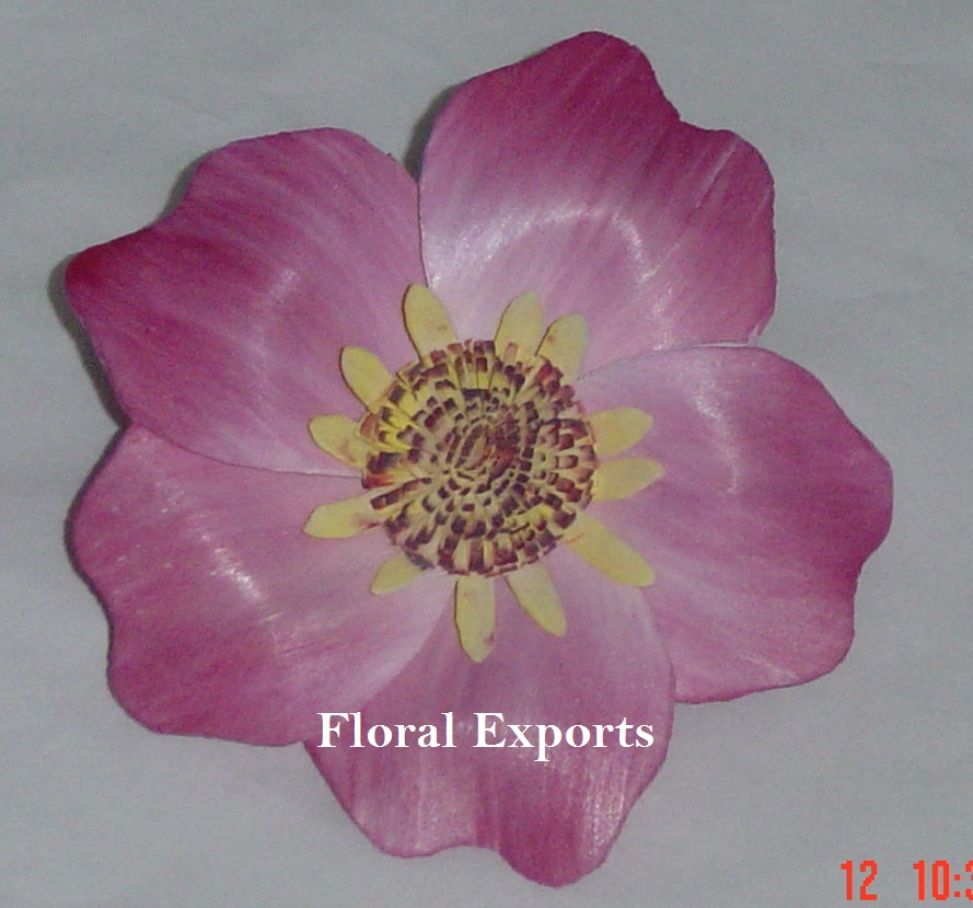 sola new popy flower K
