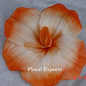 sola popy flower